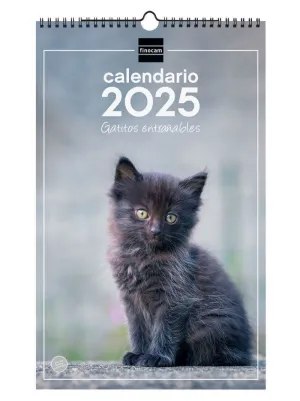 2025 * CALENDARIO PARED ESP 25X40 GATITOS