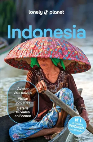 INDONESIA 6 ED. LONEY              24