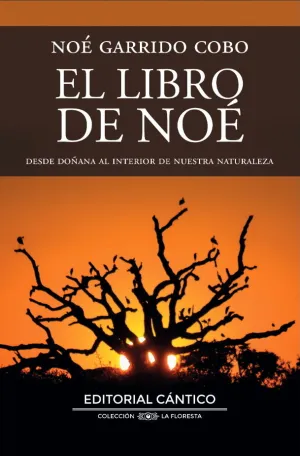 LIBRO DE NOE